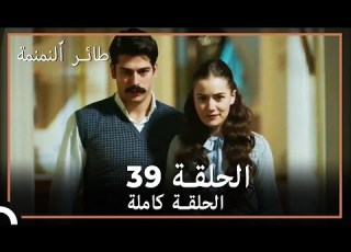 39 طائر النمنمة الحلقة