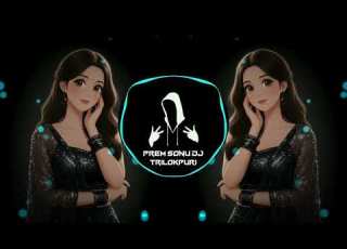  Dil Ka Aalam Main Kya Bataun Tujhe Remix Song High Gain Old Song Prem Sonu Dj TrilokPuri