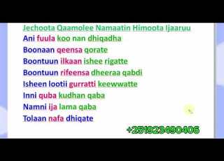 Jechoota Qaamolee Namaatin Himoota Ijaaruu Learn Afaan Oromoo Amharic English Letters