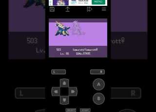  My Champion Team And Best Team Pokemon Unbound