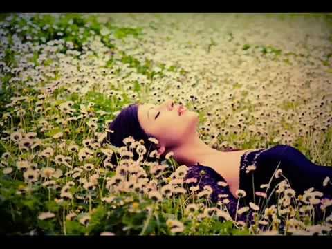 موسيقى صامته Mosi9a Samita