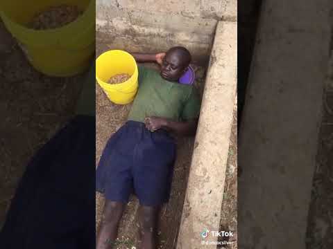 JKT Makuyuni Jeshi Siyo Lelemama JKT Makuyuni Jeshi Siyo Lelemama