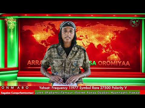 Oduu Waaree ONM ABO Bitootessa 26 2026 Itti Dhiyaadhaa