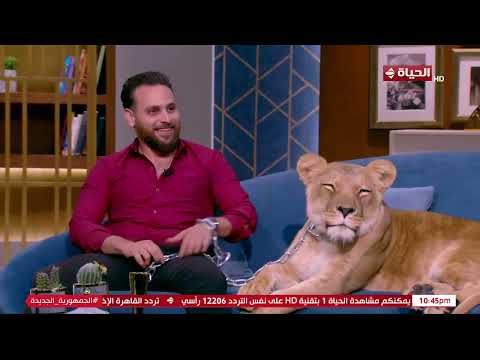 واحد من الناس الدكتور عمرو الليثي بيقدم فقرة لازم يعملها ألف حساب أسدين في الاستوديو