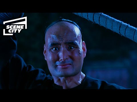 Crouching Tiger Hidden Dragon Jade Fox Fight Scene