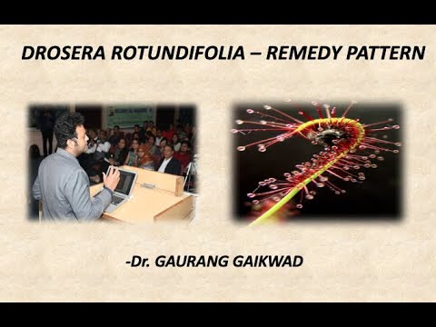 Drosera Remedy Patterns Dr Gaurang Gaikwad Drosera Remedy Patterns Dr Gaurang Gaikwad