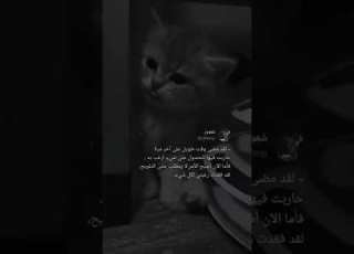 لقد مصى وقت طويل على اخر مرة حاربت فيها للحصول على شيء ارغب به