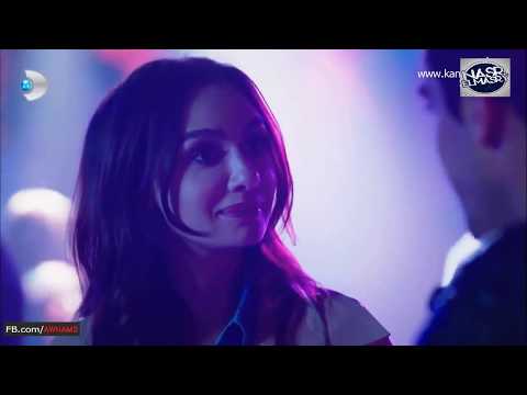 الاغنية التي يبحث عنها الجميع الحب زى الوتر تعزف عليه الحان