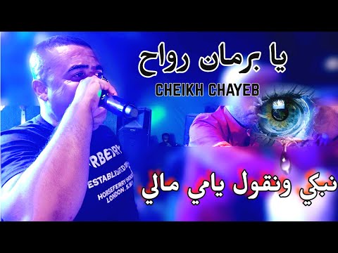 نبكي ونڨول يامي مالي يبدع من جديد شيخ شايب أغنية رائعة 2024 Live Cheikh Chayeb Yami Mali Habibi Adni