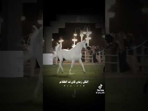 ياما نفسى ازور طه الرسول