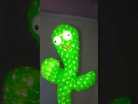 انشودة ببرك يا منى عمري اله الكون اوصاني رضاك سر توفيقي وحبك وهج ايماني انشودة ببرك يا منى عمري اله الكون اوصاني رضاك سر توفيقي وحبك وهج ايماني