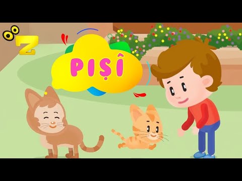 Zarok TV زارۆک تیڤی PIŞÎ