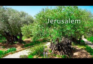 Jerusalem Garden Of Gethsemane Pools Of Bethesda And Lutheran Church Of The Redeemer