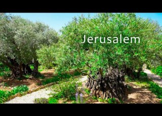  Jerusalem Garden Of Gethsemane Pools Of Bethesda And Lutheran Church Of The Redeemer