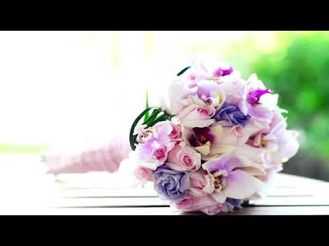 اجمل زفة منى علي الله يرحمه