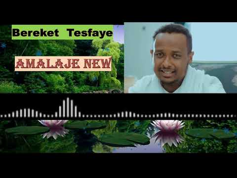 Bereket Tasfaye Amalaje New