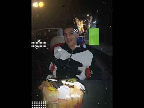 هو الديب لما يغيب في غيابه يعيشها الدباديب مصر ترند مصر متابعه مصر لايك مصر لايك اشتراك مصر