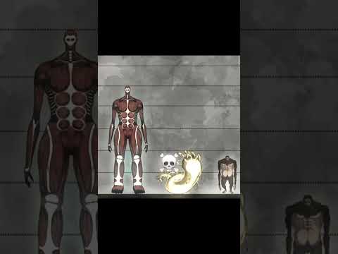 Attack On Titan Titan Size Battle Edit Aot Animeshorts