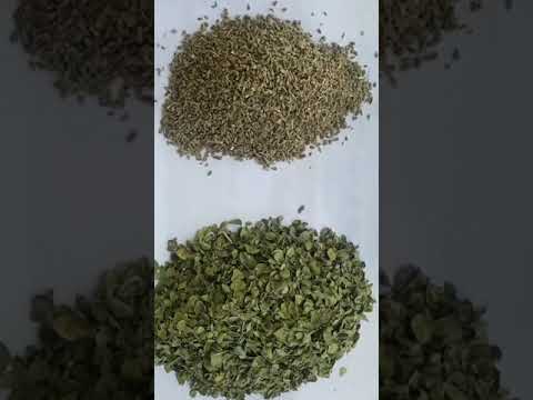 علاج الكحه ولبلغم وتنضيف الصدر زعتر مع ينسون