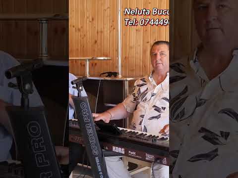 Cine Danseaza Pe Sarba Asta Ia Suta De Euro HoraPremiata