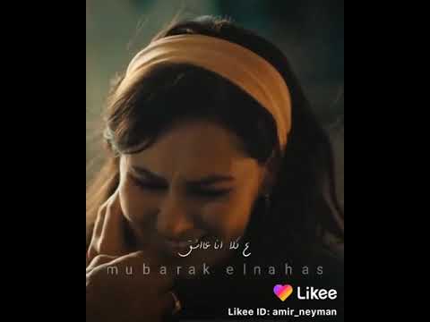 الحب والمب والاسد والدب