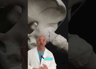 Injection Reveals Why Your Hip Hurts Shorts