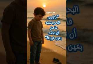 كل يرى البحر بعين تجربته فاختر أنت كيف ترى الحياة حكم كلام من ذهب سعيد عبيبو