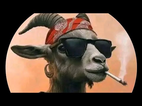 SHULE YA NG OMBE 2026 OFFICIAL AUDIO