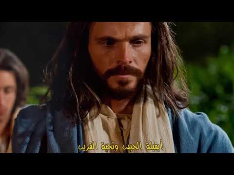 لماذا جئت ياصاحب سنيورة فوزي أمير رضا