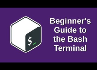 Beginner S Guide To The Bash Terminal