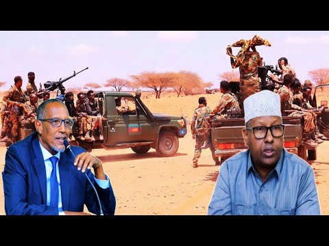 Daawo Muuse Bixi Oo Hubka Qaatay Goosha Isaaq Oo Geeri Noolal Xalay Oo La Miray Jirdil