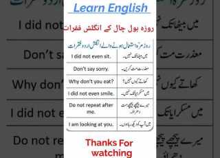 Daily Use Sentences In English With Urdu روزمرہ بول چال کے انگلش فقرات Viralvideo Learn English