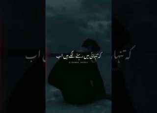 TANHAI Said Status Poetry Deep Lines Heart Poetry Emotional Line S Urdupoetry