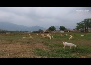 جولة مع الطبيعة الحرث واوديتها جيزان 1444