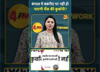 ब ग ल म बकर द पर नह ह प एग भ स क क र ब न Shorts Short