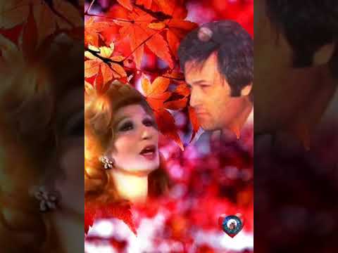 فايزه احمد انساك ازاي