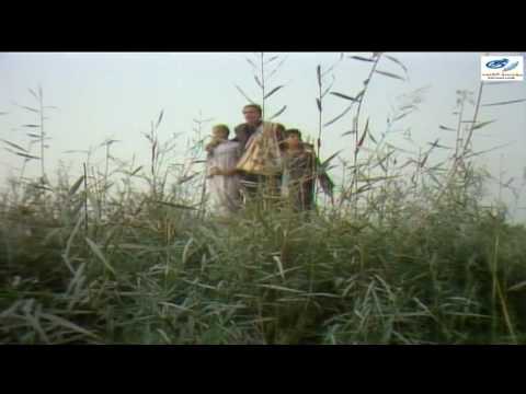 المسلسل المصري الظلال الحلقة 1