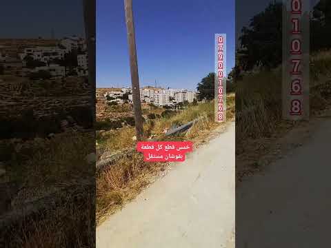 قطع اراضي لقطه مرج الحمام التفاصيل بالوصف