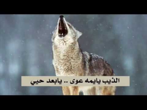 الذيب يايمه عوى يابعد حيي