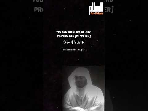 Surah Al Fath Verse 29 Sheikh Yasser Al Dosari Quran Sheikhyasseraldosari Foryou Fyp