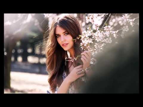 Яблуні білі Василь Котович Старовинна пісня