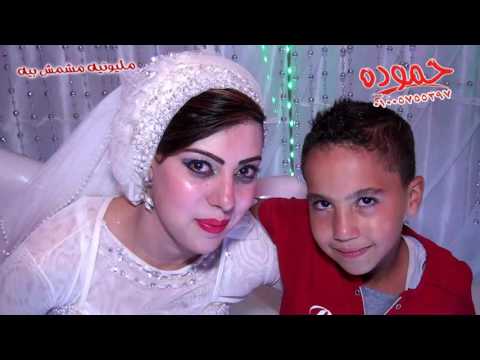 فرحة مشمش بيه نجوم مصر بترقص هاني رجب واوشا وسيكو بيعزف والدو وكاريكا