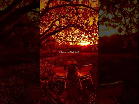 Shawn Mendes And Camila Cabello S HOTTEST Song Senorita Lyrics Senorita Shawnmendes Camilacabello