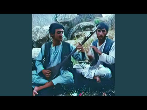 دندان صدف داری مثال موره ایی هابیل نجرابی