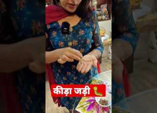  Cordyceps Shortvideo Shorts Food Explore