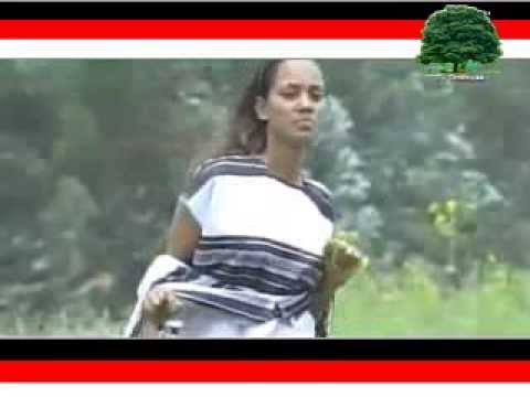 Gaaddisee Shamsadiin Beenu Oromo Oromia Irreechi Irree Keenya