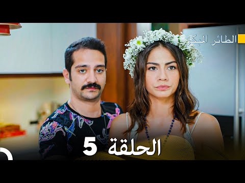 مسلسل الطائر المبكر الحلقة 5 دوبلاج عربي