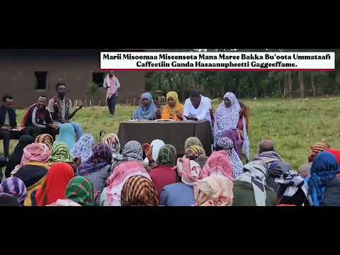 GODINAA JIMMAA AANAA MANCHOO GANDAA HASA NUPHEE