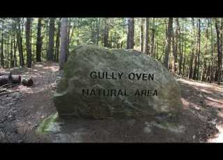  Gully Oven Park Lebanon Maine