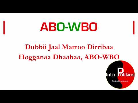 Dubbii Jaal Marroo Dirribaa Hogganaa ABO WBO Sadaasa 18 2023